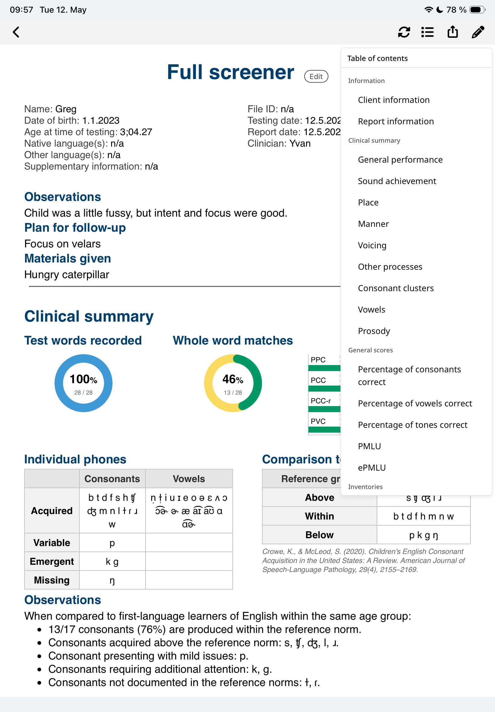 SpeechCatcher iPad App - Analyze automatically